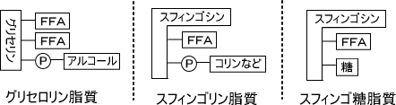 複合脂質