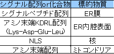 シグナル仮説