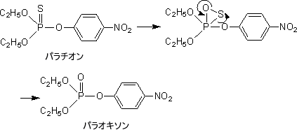 CYPによる代謝活性化