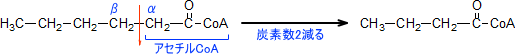 β酸化