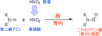 ニトロソアミン類の発生