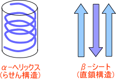 二次構造