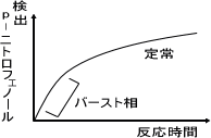 酵素の活性