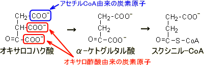 炭素原子の由来