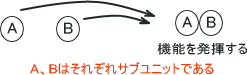 サブユニット