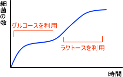 カタボライトリプレッション