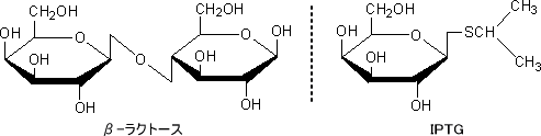 IPTG (ガラクトース類似構造体)