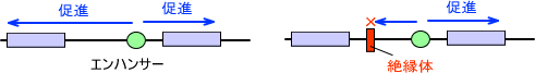 絶縁体