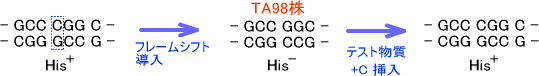 TA98株