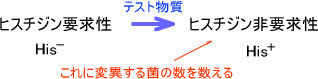 サルモネラ菌