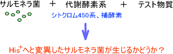 代謝