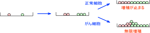 接触阻止