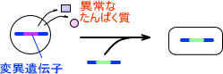 異常なたんぱく質が発現している場合