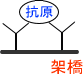 架橋