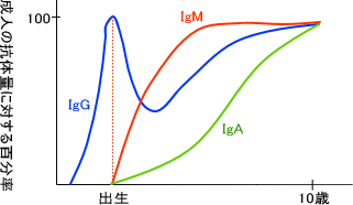 抗体量と経過日数