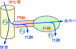 バイオアベイラビリティ