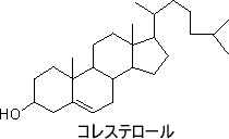 コレステロールの骨格