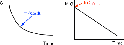 Cp(0)の推定