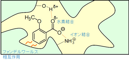 さまざまな相互作用