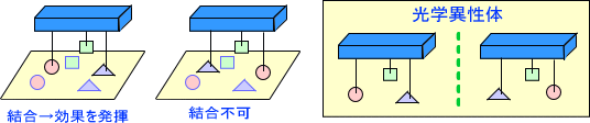 薬の結合